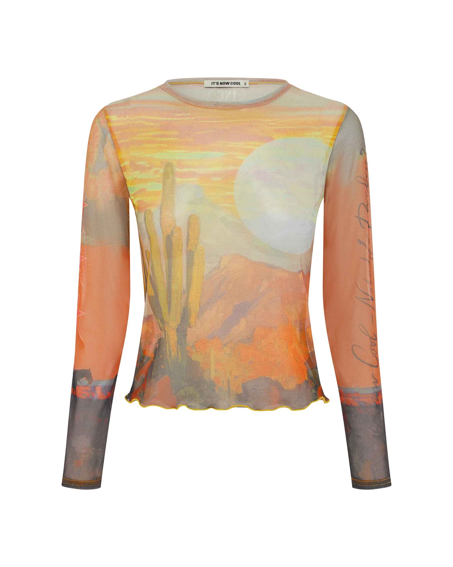 Front view of the Mesh Crop - Nobody's Darlin. 