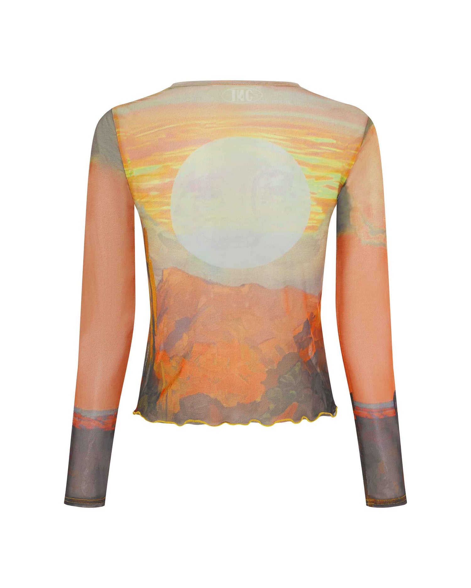 Back view of the Mesh Crop - Nobody's Darlin. 